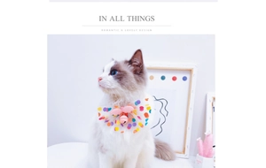 Polka dot mesh pet collar with pink heart wings and bell on a Ragdoll cat