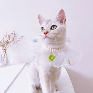 Close-up of pet lace collar with 3D colorful felt flowers and pearl beaded edge detail