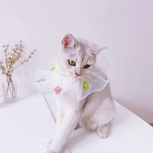 Detail of white lace pet collar with delicate pearls and colorful plush flowers on a cat