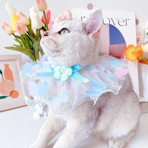 Fairy style lace pet collar with butterfly wings and floral pearl bow for cats