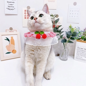 Detailed view of plaid pet lace bib with cherry ornament on a white cat
