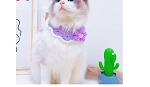 Handcrafted purple crochet pet collar with flowers shown on a long-haired cat