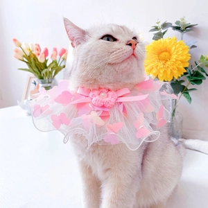 Detail of pet lace collar with pink gradient butterfly, pearl flower and white mesh