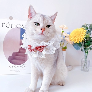 Close-up of pet lace collar with red plaid bow and pearl pendant on a cat model