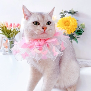 Lace pet collar with mesh ruffles, pink butterflies, and a pearl flower on a cat