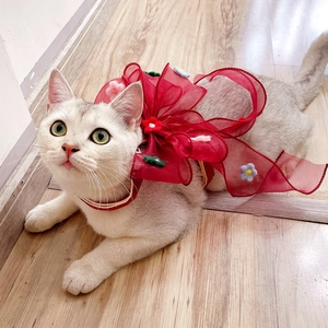 Detail einer roten Netzschleife mit Häkelblumen für Katzenhalsband-Accessoires