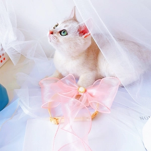 Close-up of pink organza bow pet collar with pearl detail and adjustable strap on a cat