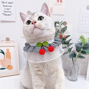 Detail of pet lace collar with plaid ruffles and cherry decor on a white cat
