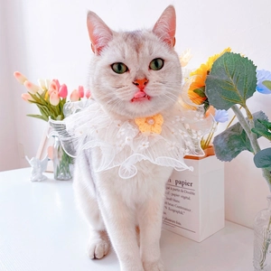 Elegant white lace pet collar with a yellow knitted flower and pearl for cats and small dogs