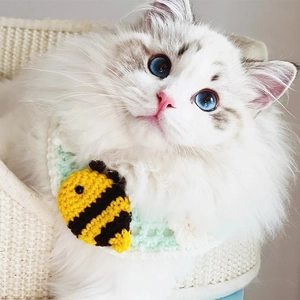 Close-up of hand-knitted pet collar with bee detail on a cat neck in mint green and white