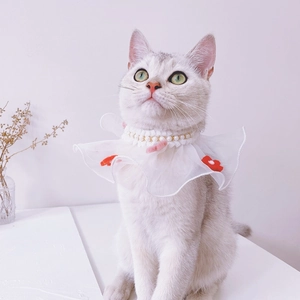 Detail of white lace pet collar with double-layer imitation pearls and red flower accents