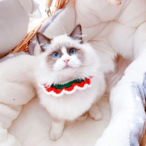 Knitted red and green pet collar with wavy edges for cats and dogs on a soft white rug