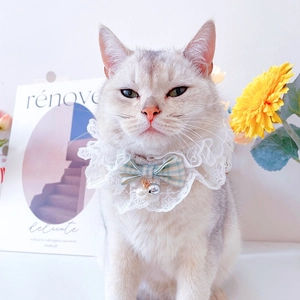 Detail of pet lace collar with green plaid bowknot, silver bell and pearl pendant