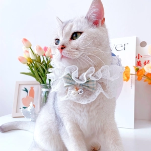 Detailed view of white layered lace pet collar with a green plaid bow and golden crown bell