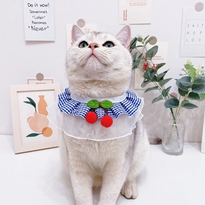 Detail of blue plaid pet bib with lace trim and cherry decor on a cat neck