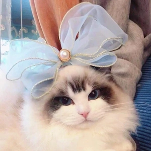 Sweet Organza Bow Pet Collar Fairy Princess Style Artificial Pearl Decor Adjustable Neckband For Cats Small Dogs Neck Accessories