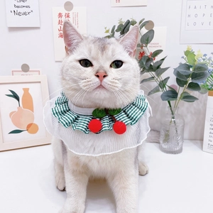 Detail of green plaid pet collar with white lace trim and red cherry decorations