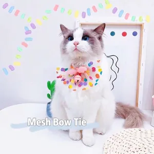 Cute pet collar with fairy wings, pink bell and colorful mesh bow on a ragdoll cat