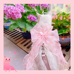 Close-up of pink peach print harness with large bow on a white cat in a garden
