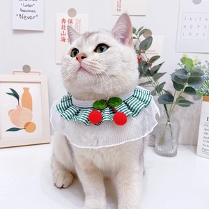 Detailed close-up of pet lace collar with green plaid pattern and 3D cherry decor