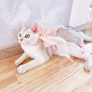 Detail eines rosa Netz-Brustgeschirrs mit Perlen und Schleife für kleine Katzen