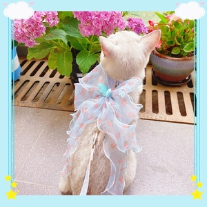 Cat harness with peach pattern organza bow and blue butterfly on white cat
