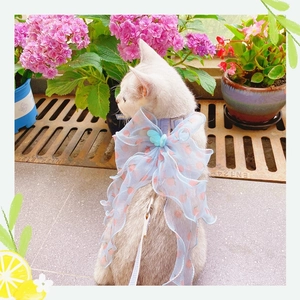 Light blue tulle cat harness with peach print bow and matching leash in garden setting