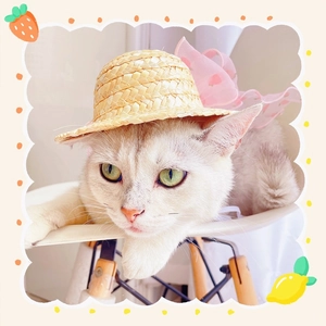 Detail of pet summer straw hat with pink organza dress and colorful ribbon bow for cats