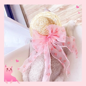 Pet straw hat with large pink peach bow shown from a rear view on a domestic cat