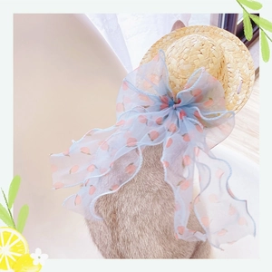 Detail of pet straw hat with large peach-patterned blue bow on a small cat