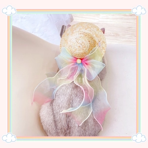 Detail showing pet straw hat with large rainbow gradient organza bow and pearl buckle