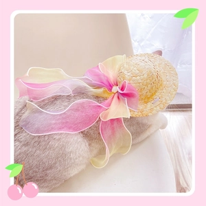 Close-up of pet straw hat with oversized pink gradient organza bow and pearl bead