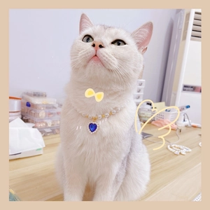 Adjustable pearl pet necklace with a blue heart sapphire pendant on a white cat