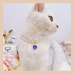 Close-up of a cat wearing a pearl necklace with a blue heart-shaped crystal pendant