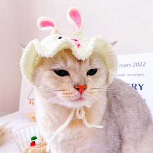 Close-up of handmade white knitted pet hat with pink rabbit ears and securing straps