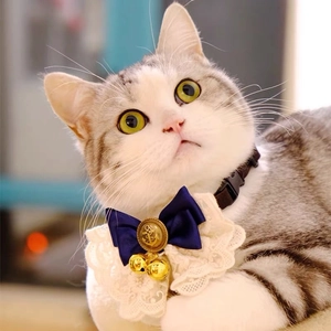 Collare regolabile per gatti con pizzo bianco fiocco blu e campanelli dorati