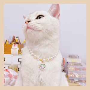 Close-up of pearl pet necklace with heart pendant on a white cat, elegant pet accessory