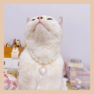 Detail of white pearls and golden beads necklace with heart pendant on a white cat