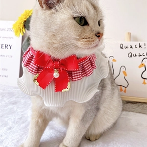 Detail of pet lace collar featuring a red ribbon bow, pearl pendant, and gold trim accents