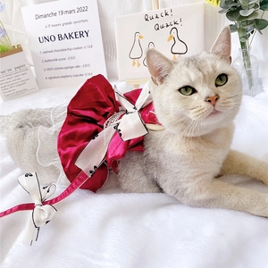Detail of red pet princess dress with white bow and lace trim on plush carpet