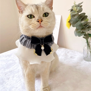 Detail of pet collar with black checkered bow, golden charm and white lace trim