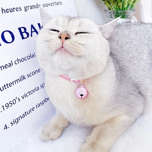 Adjustable pink velvet pet collar with gold bell for small cats and dogs, worn by a cat