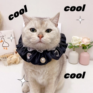 Collier élégant en satin noir, dentelle, perles et diamants pour chats ou petits chiens