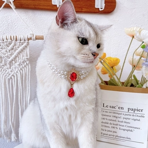 Detail of luxury double-layer pearl pet necklace with red gemstone on a cat