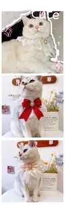 Detailed lace pet collars with silk bows and pearl jewelry in red, beige, and champagne