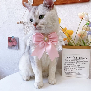 Close-up of white lace pet collar with a pink satin bow and central pearl decoration