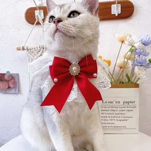 Elegant white lace pet collar with a large red satin bow and pearl rhinestone buckle