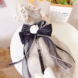 Detail of camellia flower and pearl bow dog harness on a cat model in French style