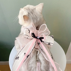 Pink pet harness set for cats with large organza bow and matching leash on a tabby cat