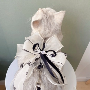 Detail of white organza pet harness with black floral bow and metal hook on a cat